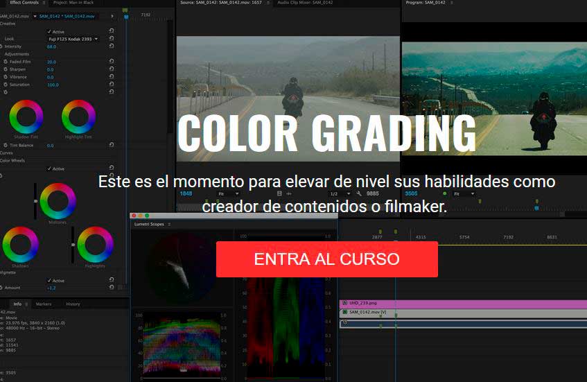 Cursos