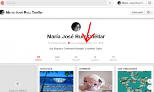 Cómo verificar tu web en Google y Pinterest